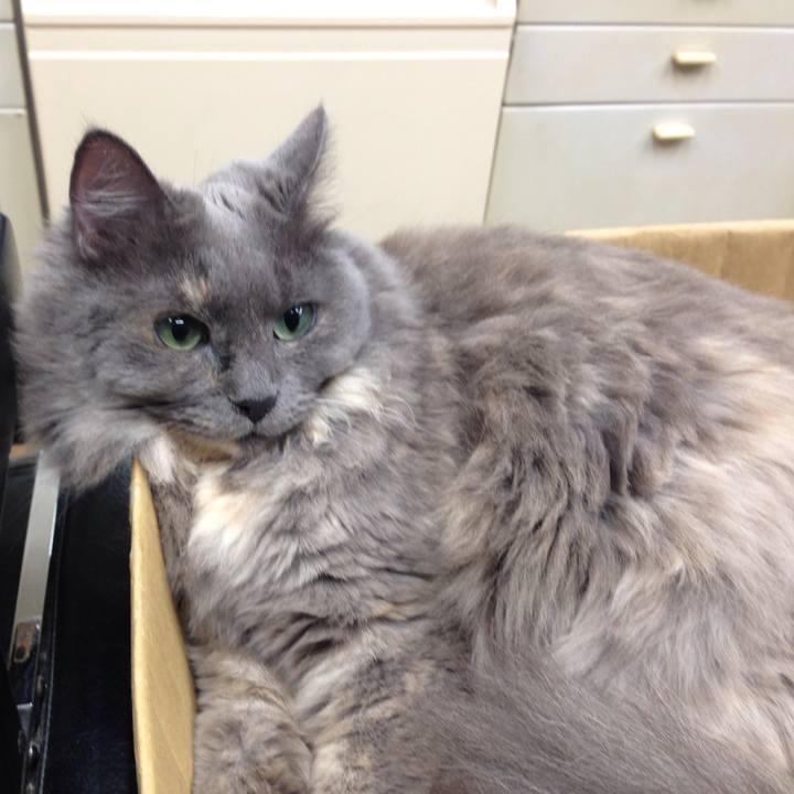 61c40f8c 5e9a 4b65 9772 a1f8a0e5348c