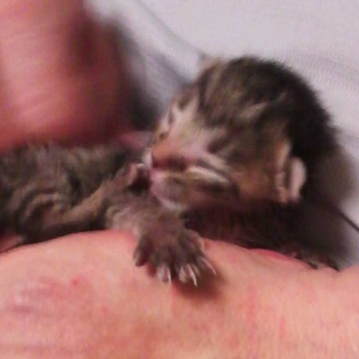 61c438d7 7040 41ec 857a af93ba0fedbb