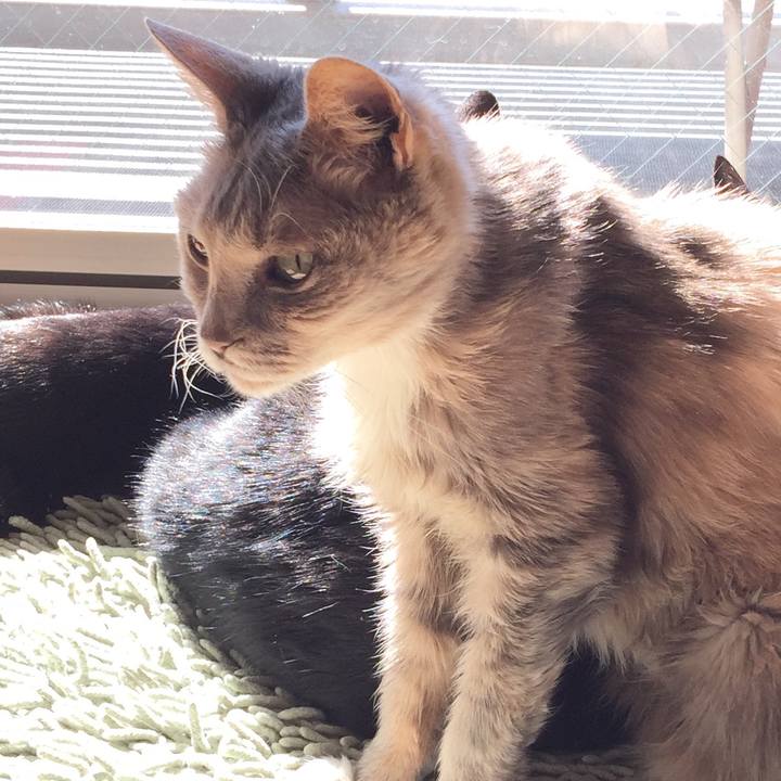 61c4d955 40a2 4f76 b0d2 dae474174177