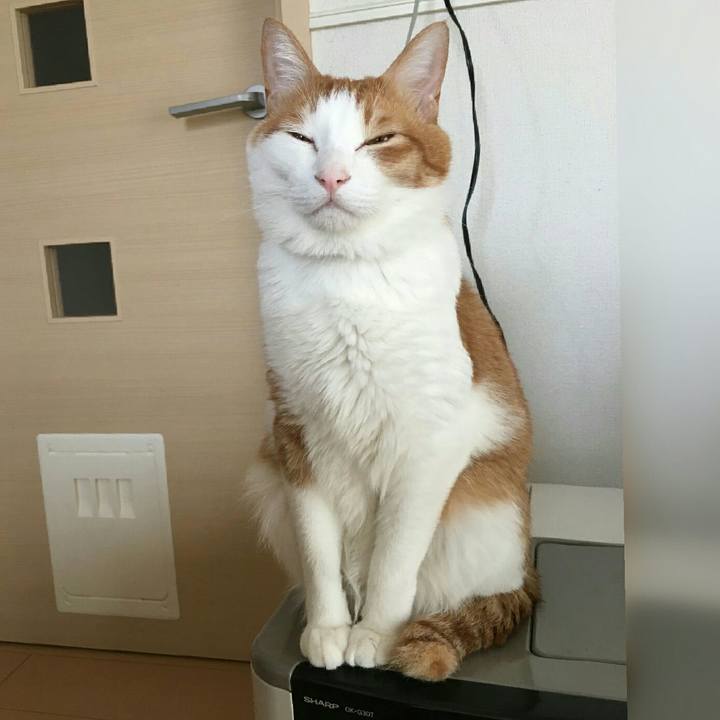 61c578d0 058b 483b bad8 370aeae33f0e