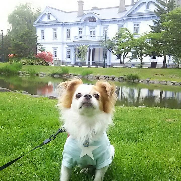 61c5be32 ab9e 464e 8aa6 5e1b629b32d1