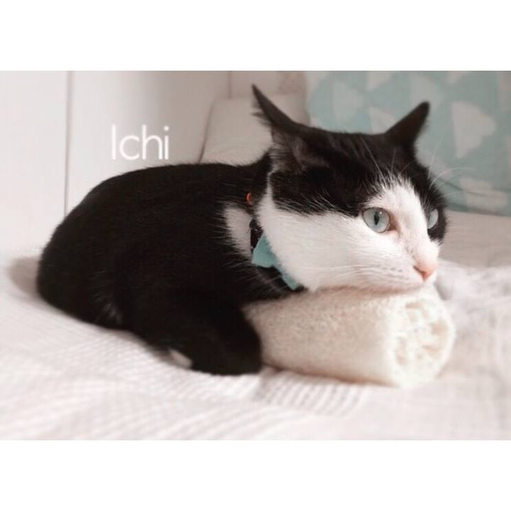 61c731e5 cd7b 4ec8 9f6a a56b6b7b9984