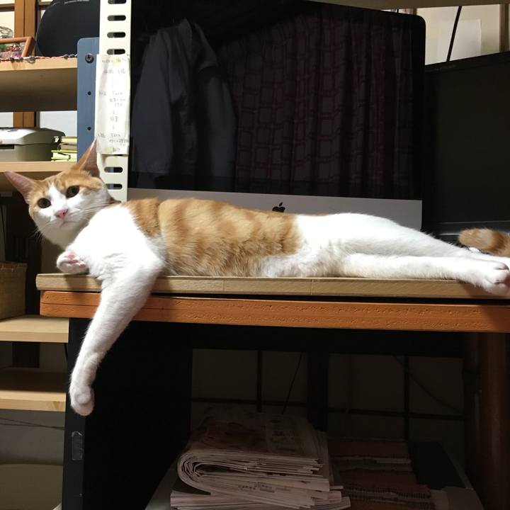 61c7bf9f 47ea 443a 9e83 5210a687b870