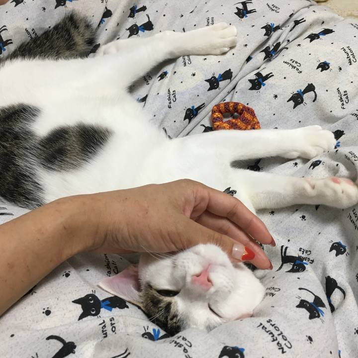 61c7c3ee 7214 4696 a12b 26279e25e951