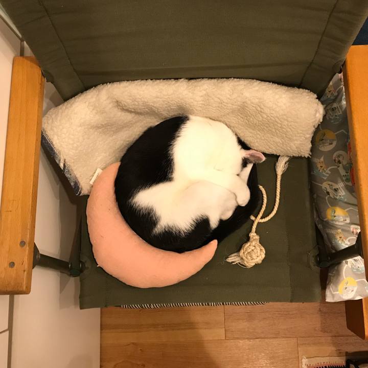 61c82e30 ed1f 40d3 84c8 5164bbebaca6