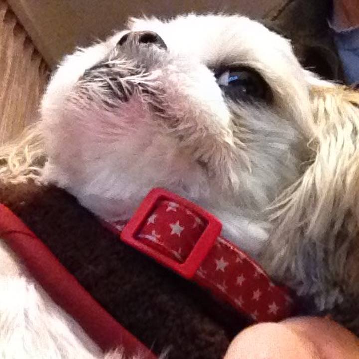 61c87647 b2ab 46f8 8391 6e29c7cf30ad