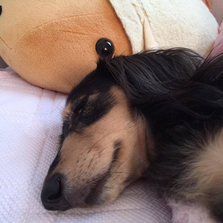 61c8c9ec dee7 414a 9833 f8b7bf2e7790