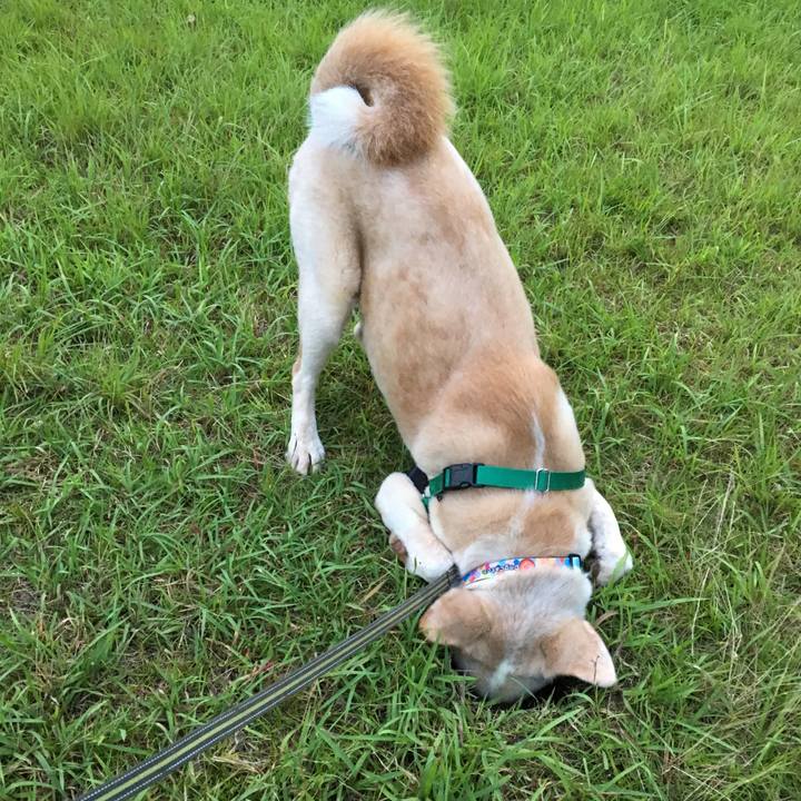 61ca1db3 9f90 4a3b a001 019478eb965d