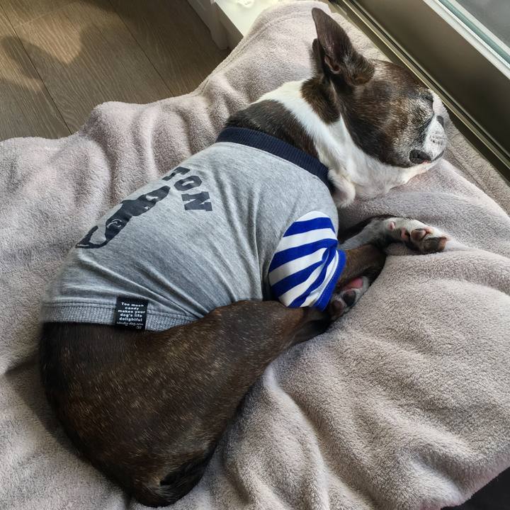 61ca3c04 3b6a 4277 a2fe b329c73a73e0