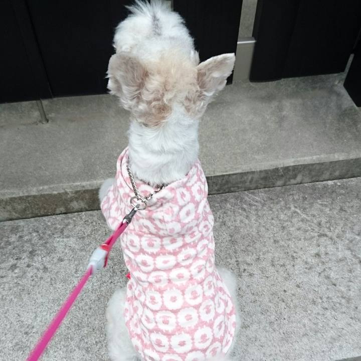 61cae9b6 de6b 4f01 bdab c766244659cd