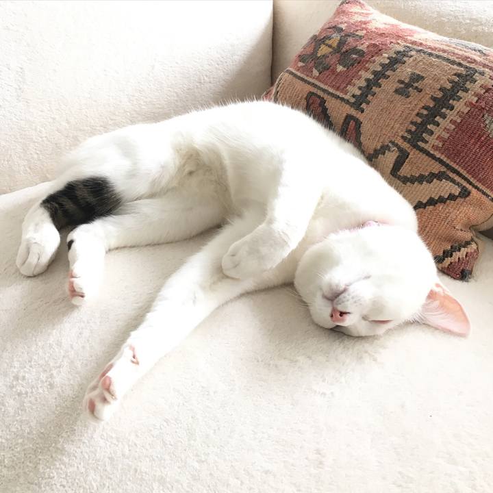 61cb8b11 3ddc 4ea5 8197 5154bdd08003