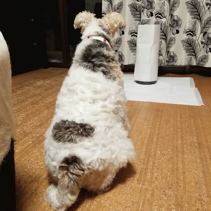 61cbb29a 73cb 4858 aaf1 eabbd1ba6c9f