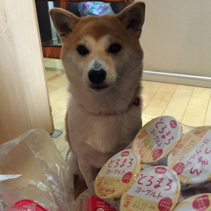 61cc127a e7aa 4640 b0c7 79709036e14f