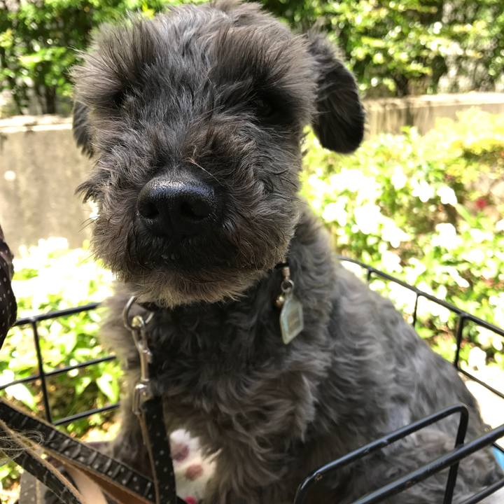 61cc641c 6e0e 485b 8d68 8525c0cf6cf0