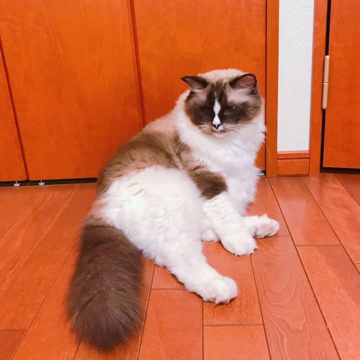 61cd6ff8 3933 4307 a2a6 89d8dee3f43b