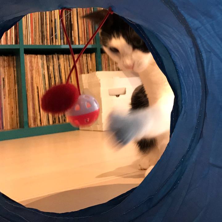 61cdd339 504b 4b99 ac8c 4a073e5efc2e