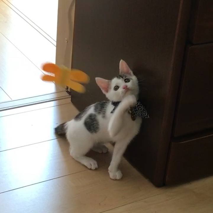 61cdf321 cab4 4a51 ab42 27ea1f8f9735