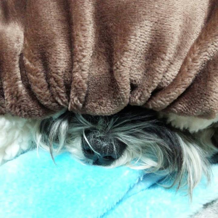 61ce0f14 e765 4f95 b230 af7786313238