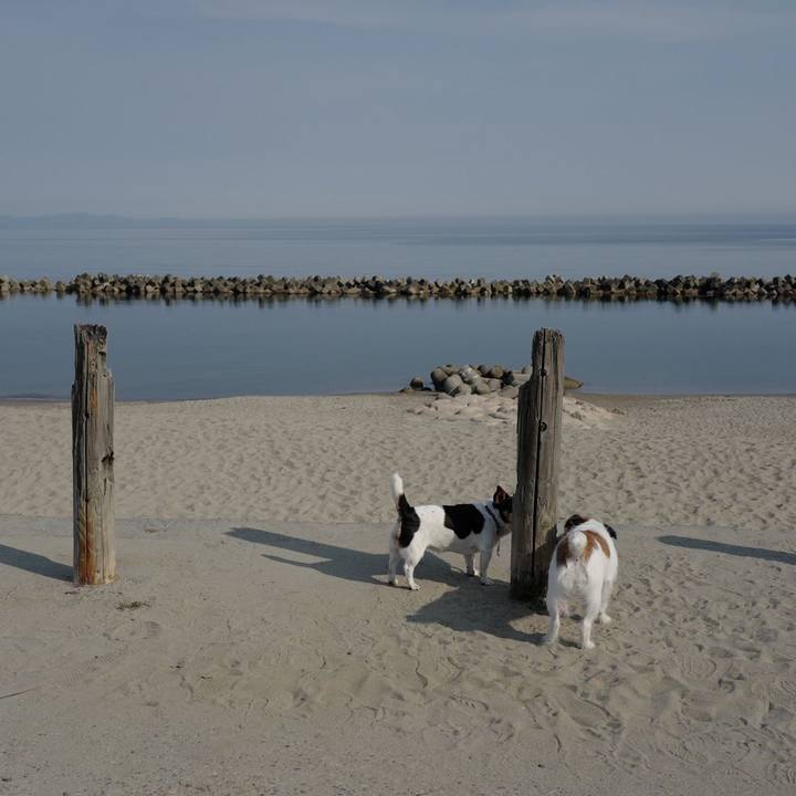 61ce38aa 2c8e 4b2a 8a28 2ae58a65f427