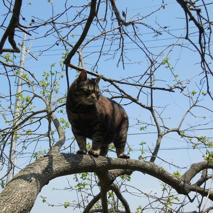 61cea2a9 5756 4fbf 98a5 f3c50da09763