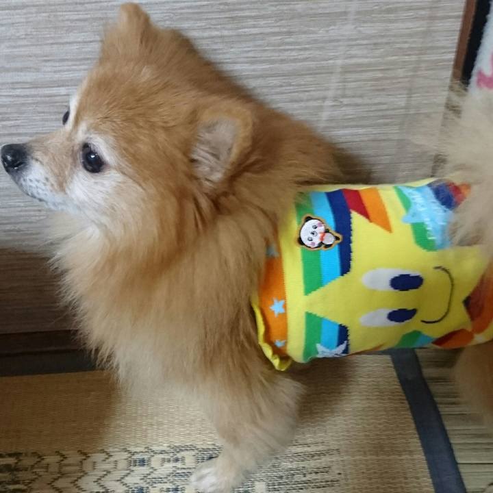 61cedd37 8c2d 4512 be08 d4c0dc175fa0