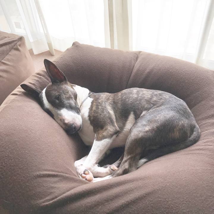 61ceefa8 2256 4a91 8f8e 43ff048e2df3