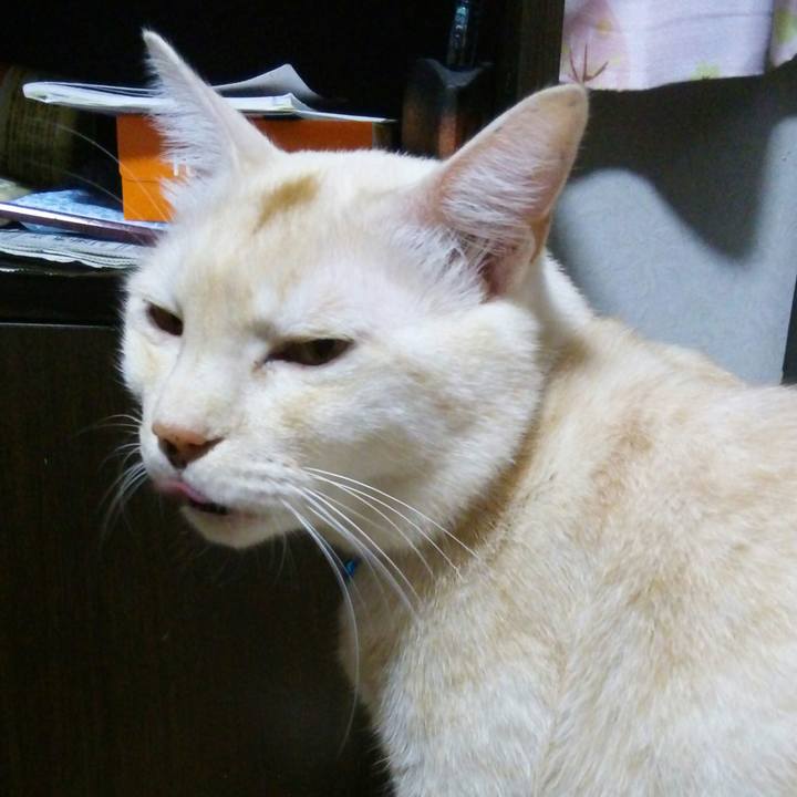 61cf30d5 c145 4a37 aba9 a6d1660cb044