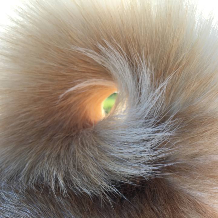 61cf7180 2830 479f 8136 51aa5fe3d697