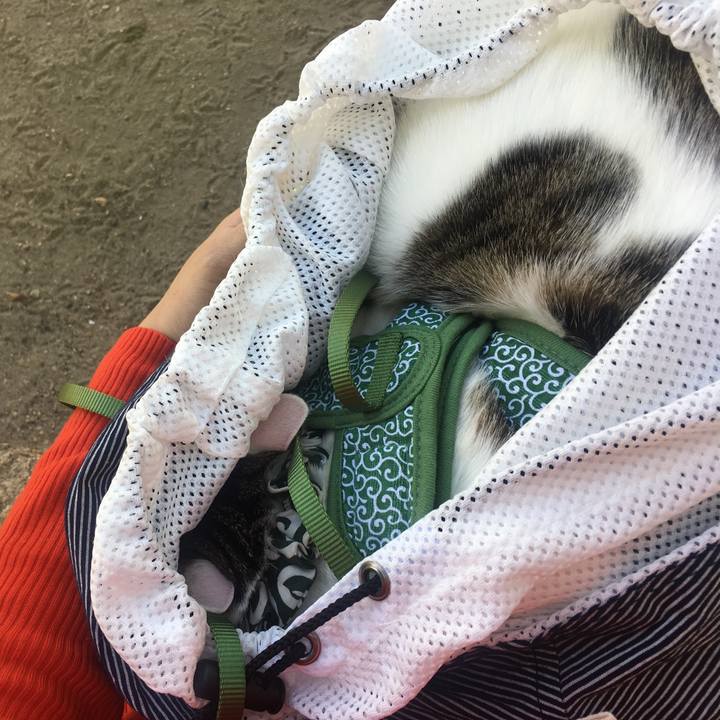 61d0057f 1646 4702 a444 5e9279e443a5