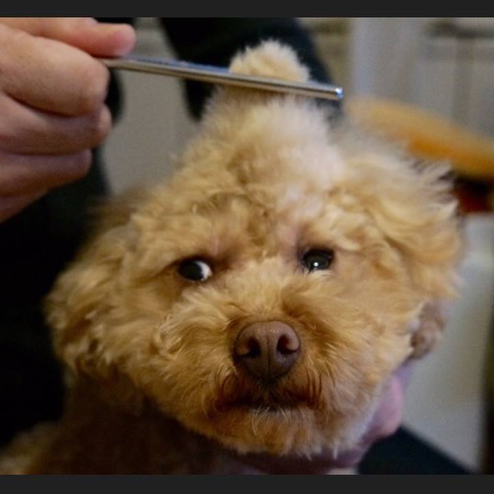 61d05ba2 4865 4448 a64b 9be499737c3d