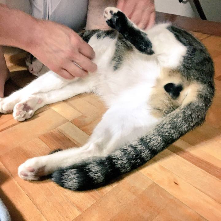 61d05c12 2d6c 4feb 8c59 4a028a9d273d