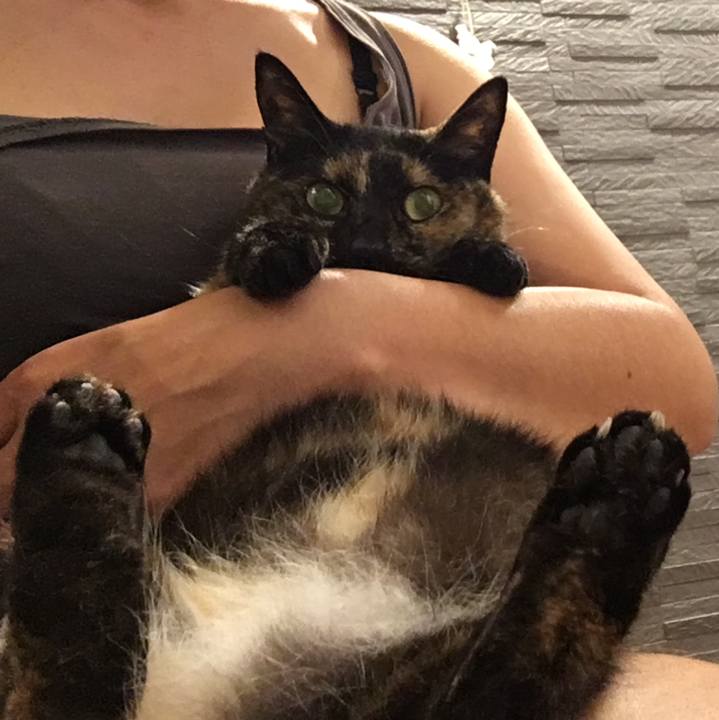 61d0d634 dd9c 4d9b bdbc 882566757e7e