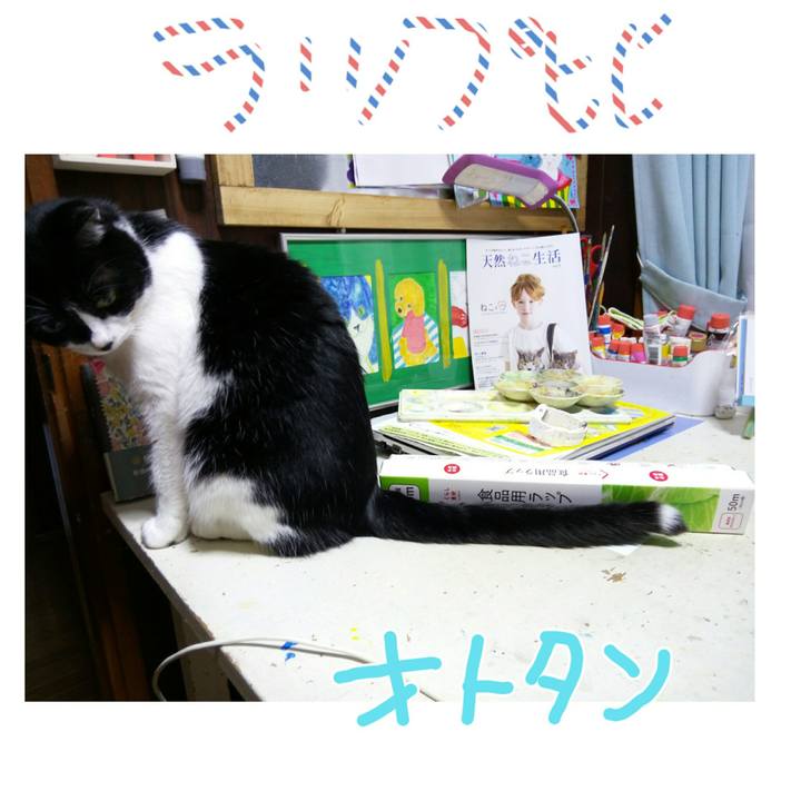 61d0ffae 215f 4a64 91a8 5f6379c4c5d1