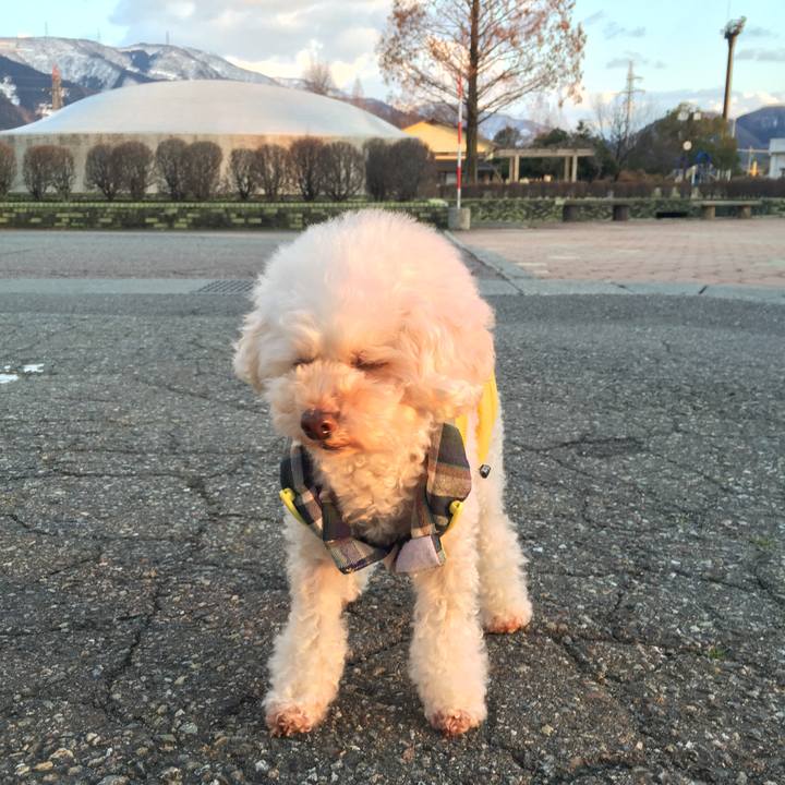 61d11a81 8b0d 49a9 9fee bcd741ceebdb