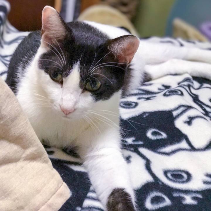 61d13ed4 f2ef 4f66 acf6 c9ad29ccfc80