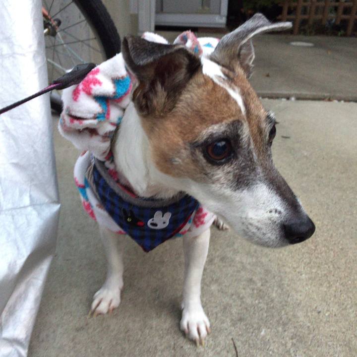 61d27efa 4347 4f69 a242 0dda1736c147