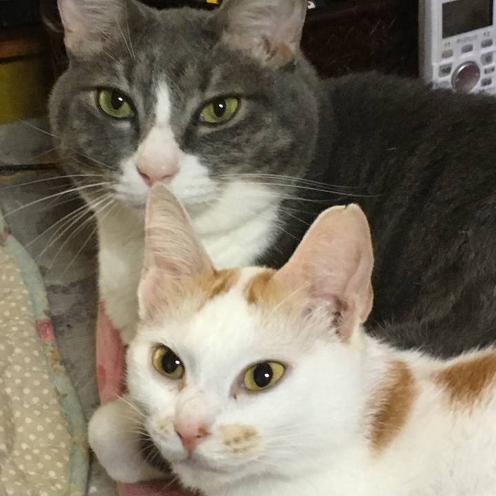 61d29995 8043 464e 86eb 76141392dad3