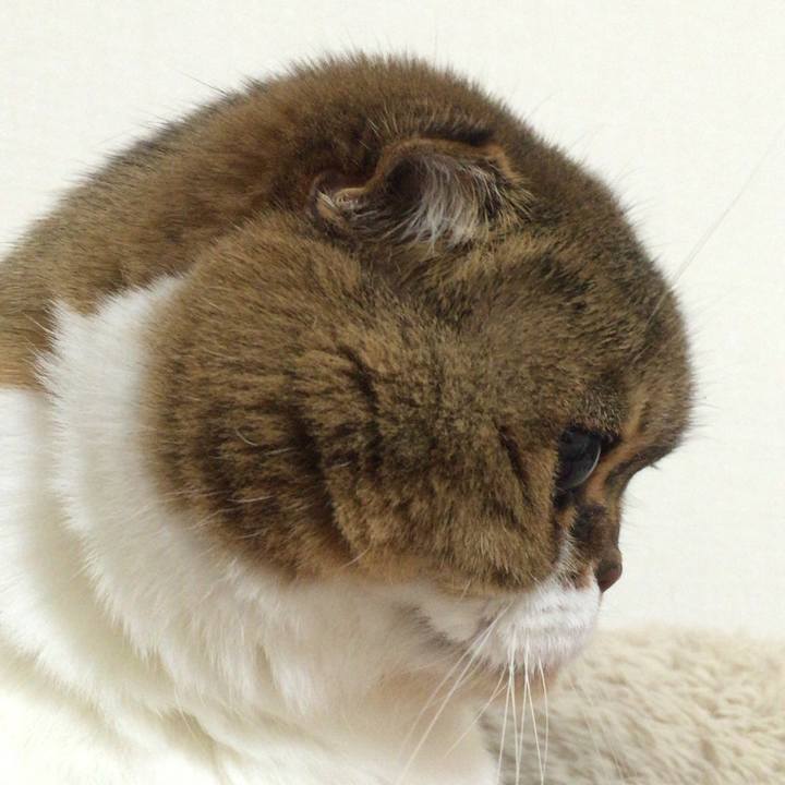 61d2b2f5 7871 47df 9f6a 9ffd6090de8d