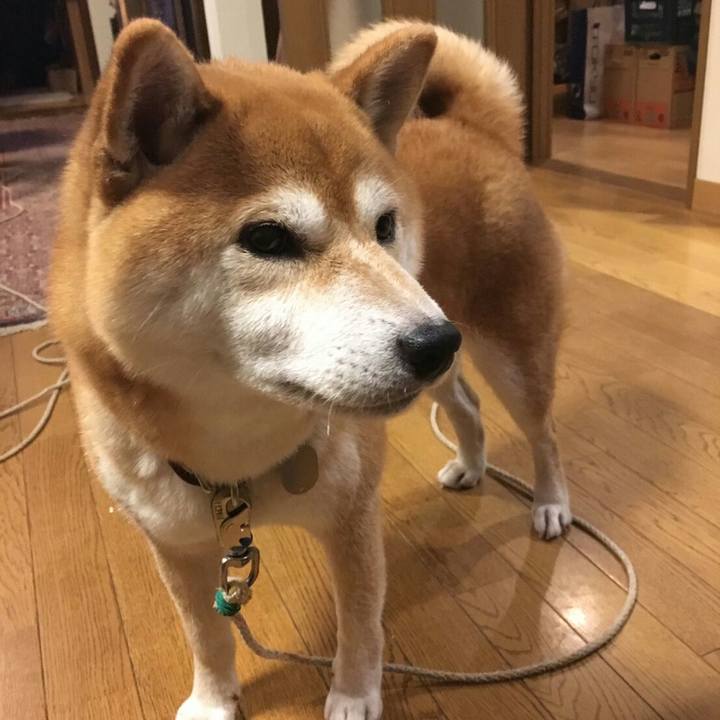 61d2dccf 164e 470c b0cf ff1c183cb8ec