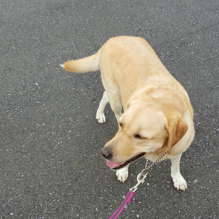 61d3e155 5260 4888 99e3 1de70b875e04