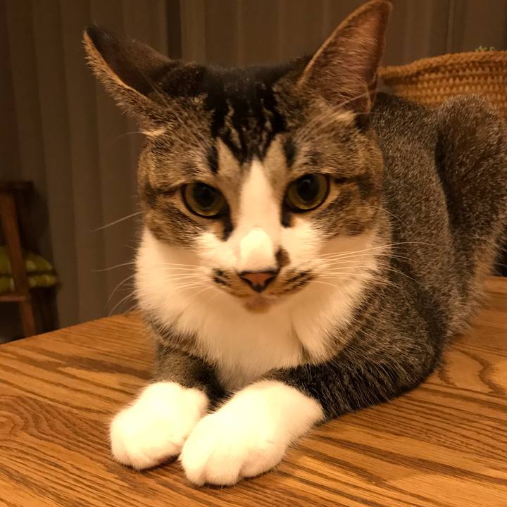 61d480c6 1bb9 4fee 86a8 66b6a14f1671