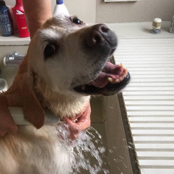 61d49716 8a11 4a93 b6a5 d86e0809dc38