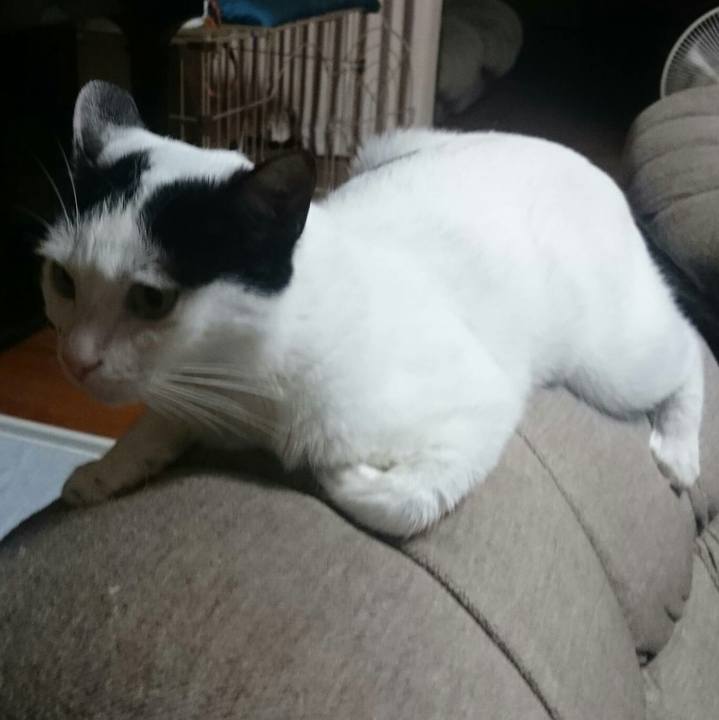 61d516ed a84f 4901 adbd 8775d5acd46a