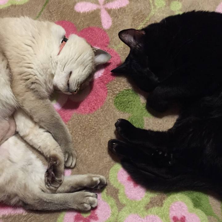 61d54818 69b7 411c 8b24 7af8d550ddb5