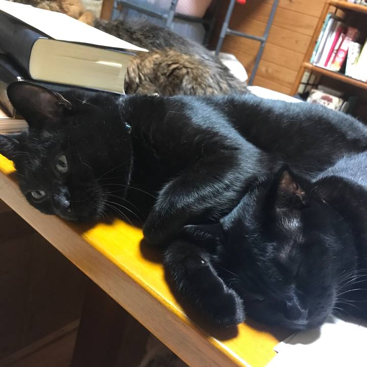 61d54ea1 9026 47d6 b063 cb67d7b44412