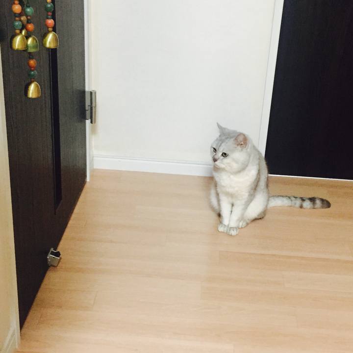 61d602f9 85c5 4b7a aead 9d8106ab0a34