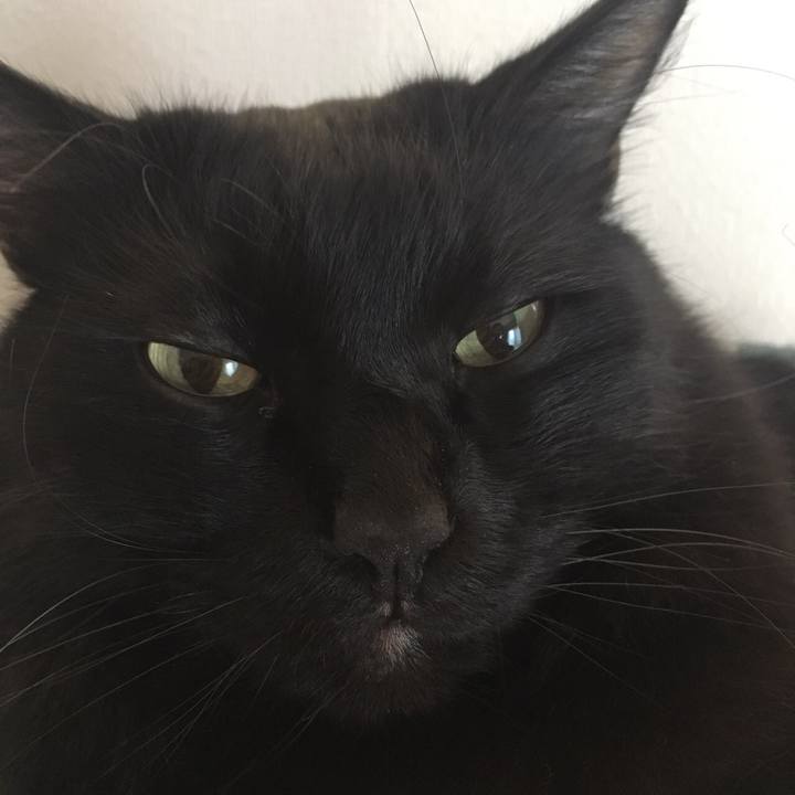 61d605d2 a679 4030 ad8d b4b2bad322aa