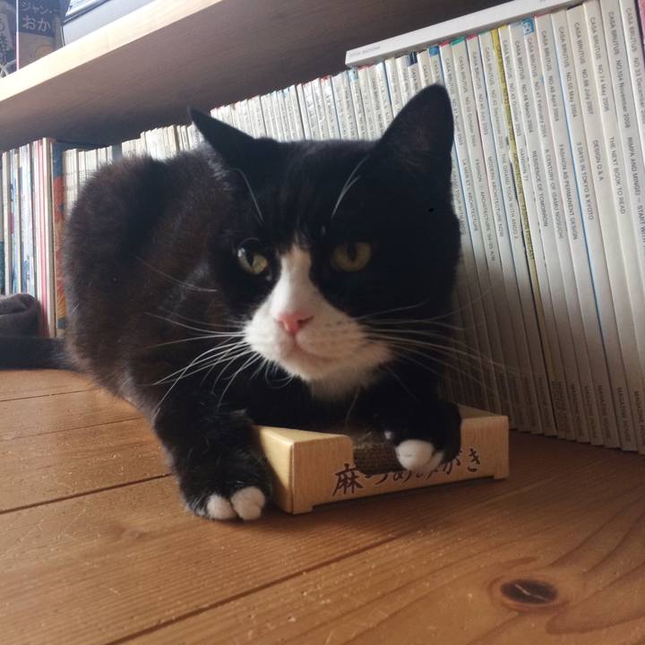 61d6493f c064 49ad 9d04 1fd67b8ab350