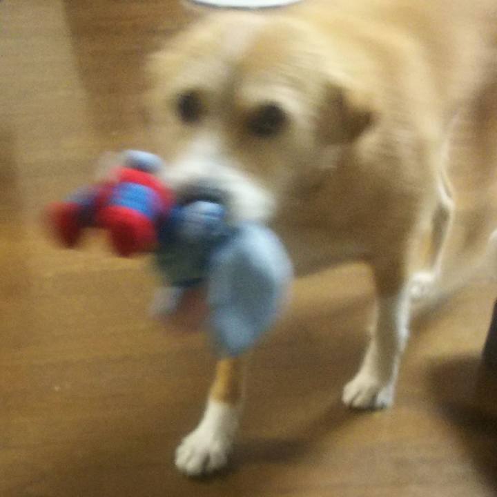 61d768ae 8cb3 4ed4 be55 1f2c48d71c61