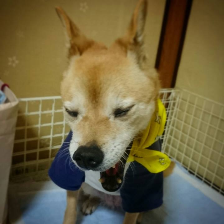 61d8b58c d977 4e23 b433 0fcee9ea8eef